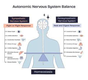 Acupuncture Supports Stress Reduction