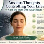 Calm the Brain with Acupuncture